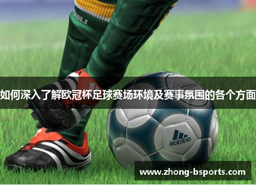 如何深入了解欧冠杯足球赛场环境及赛事氛围的各个方面